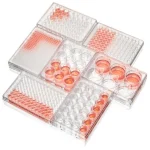 cell culture plates